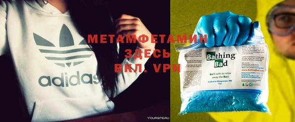 шишки Белокуриха