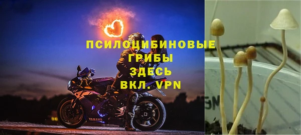 spice Белоозёрский