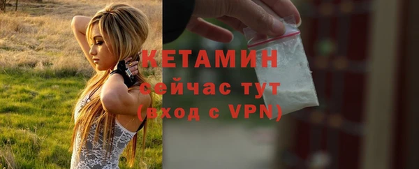 шишки Белокуриха