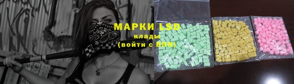 шишки Белокуриха