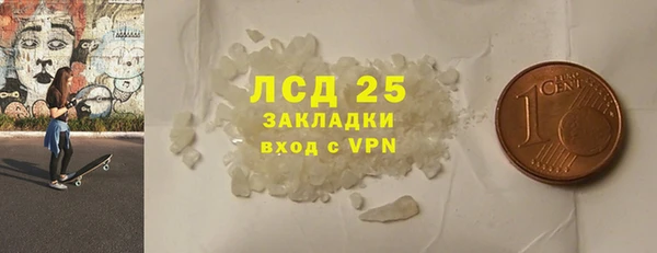 шишки Белокуриха