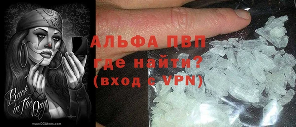 шишки Белокуриха