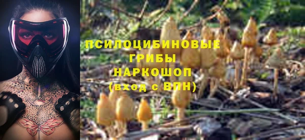 spice Белоозёрский
