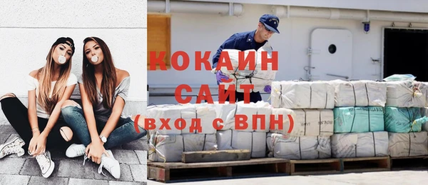 шишки Белокуриха