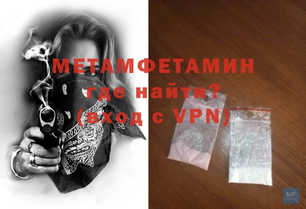 шишки Белокуриха