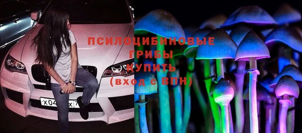 шишки Белокуриха