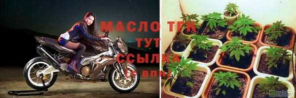 шишки Белокуриха